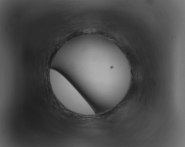 X0000096991445200802080910