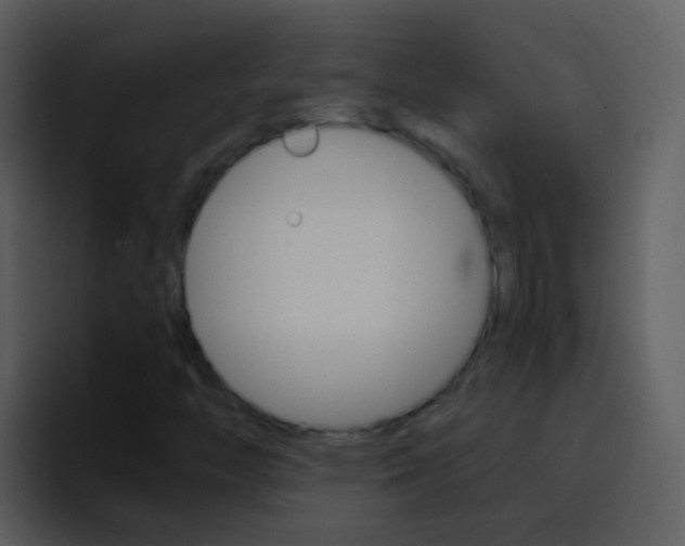 X0000096991446200802080910