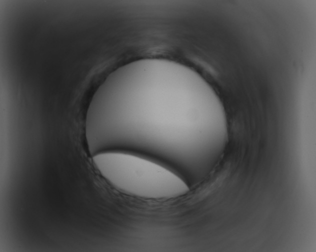 X0000096991447200802080910
