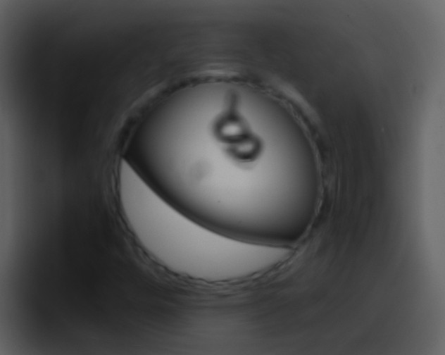 X0000096991448200802080910