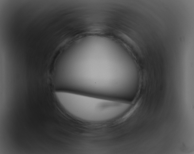 X0000096991449200802080910