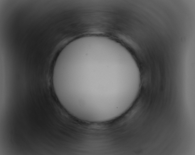 X0000096991451200802080910