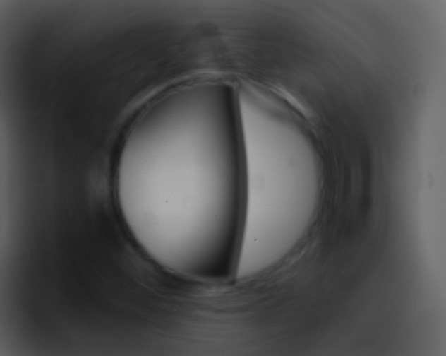 X0000096991452200802080910
