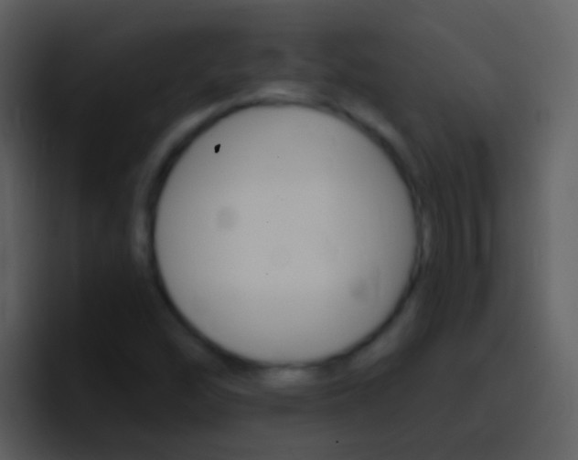 X0000096991454200802080910