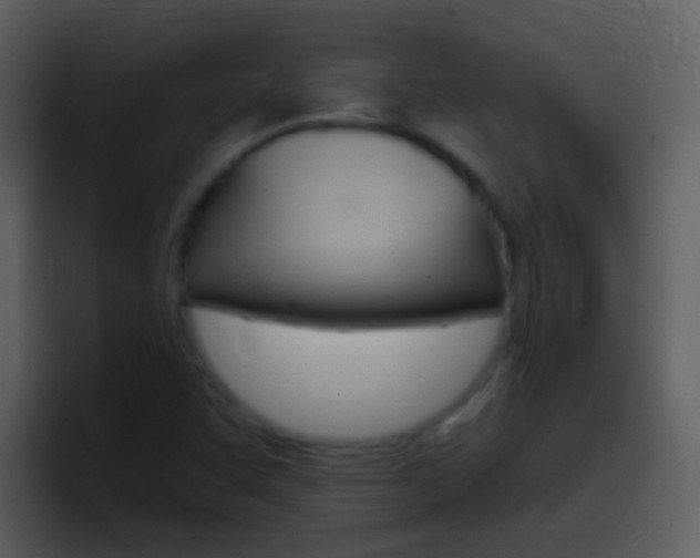 X0000096991455200802080910