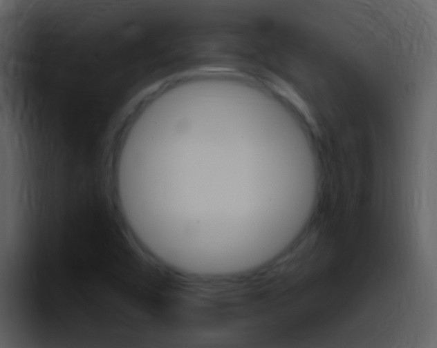 X0000096991456200802080910