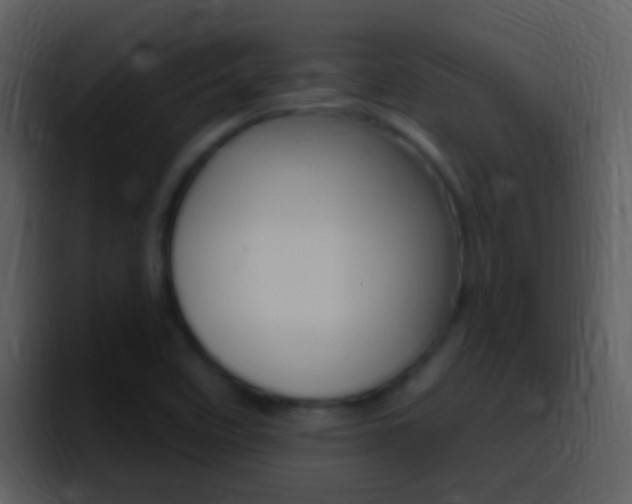 X0000096991458200802080909