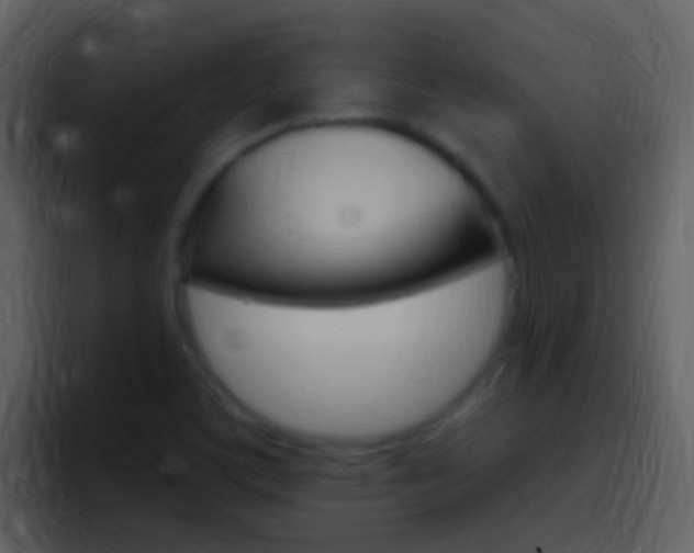 X0000096991459200802080909
