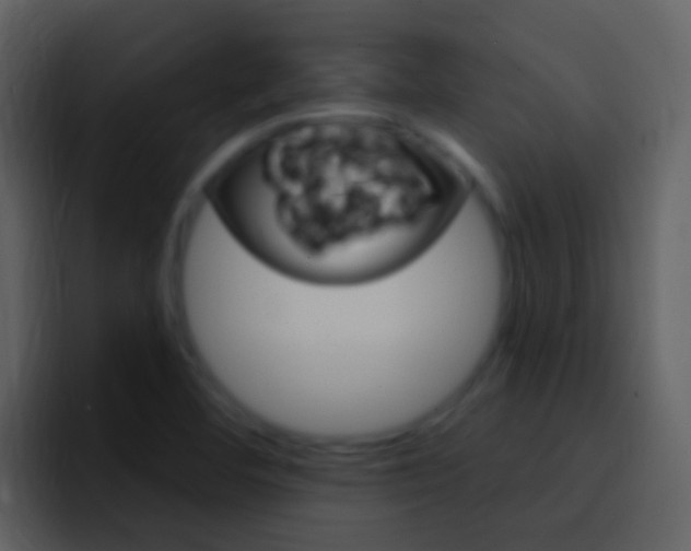 X0000096991460200802080909