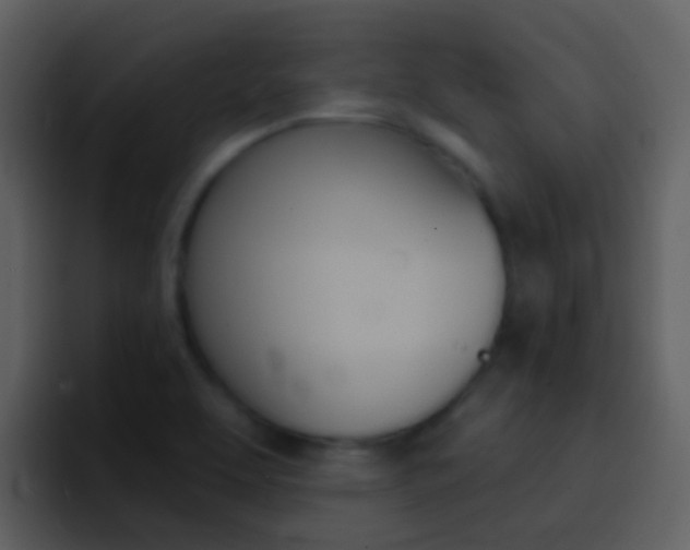 X0000096991463200802080909