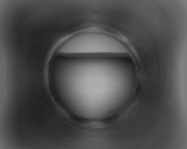 X0000096991464200802080909