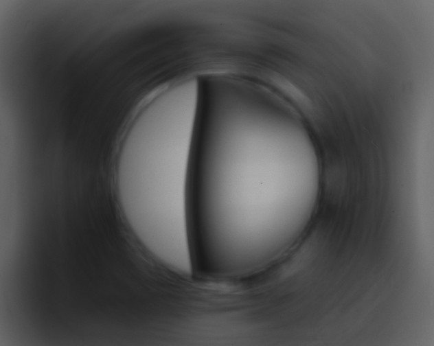 X0000096991465200802080909