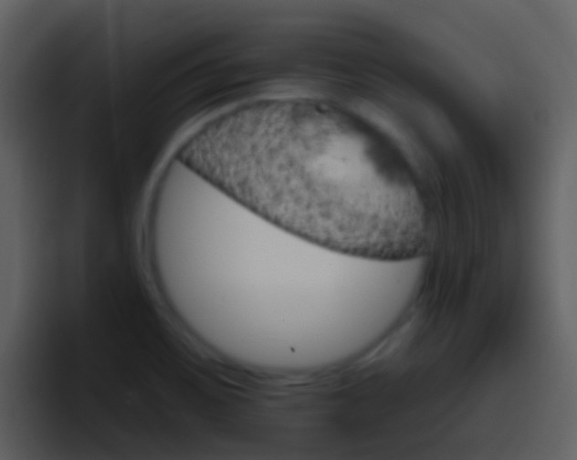 X0000096991467200802080909