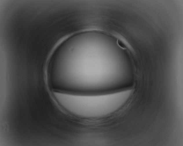 X0000096991468200802080909