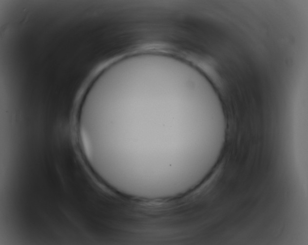 X0000096991470200802080909