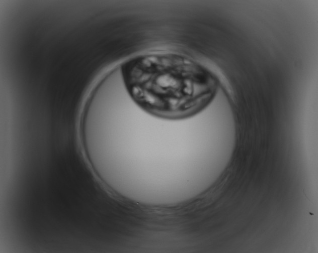 X0000096991472200802080909