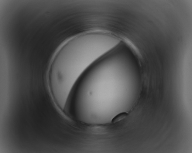 X0000096991476200802080909