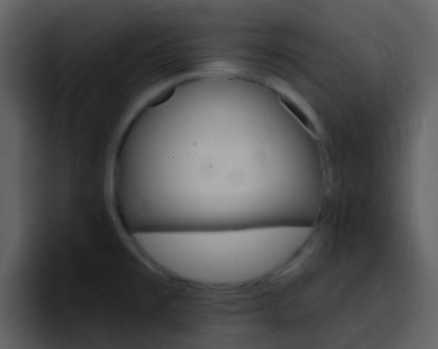X0000096991477200802080909