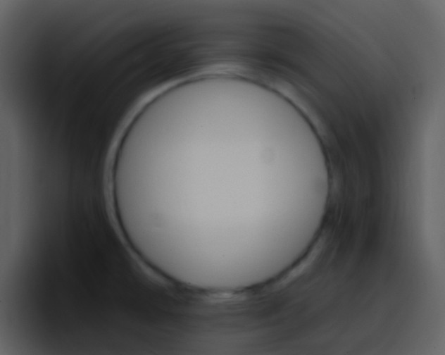 X0000096991478200802080909
