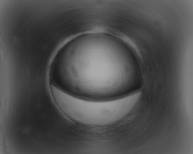 X0000096991480200802080909