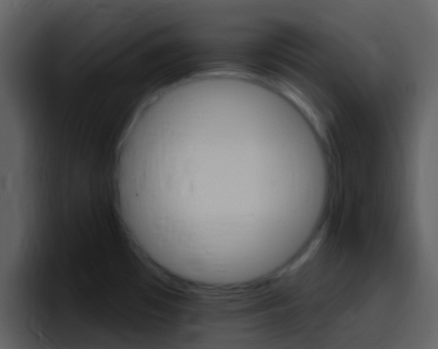 X0000096991481200802080909