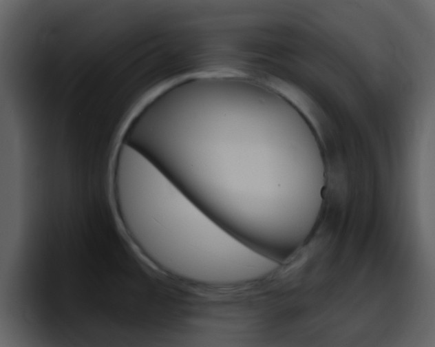 X0000096991485200802080909