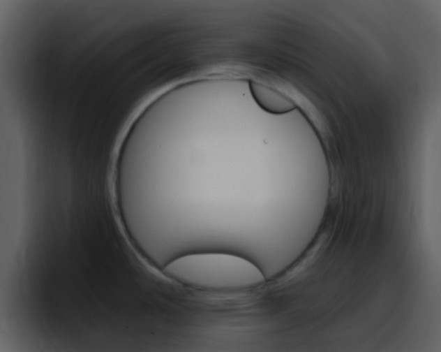 X0000096991486200802080909