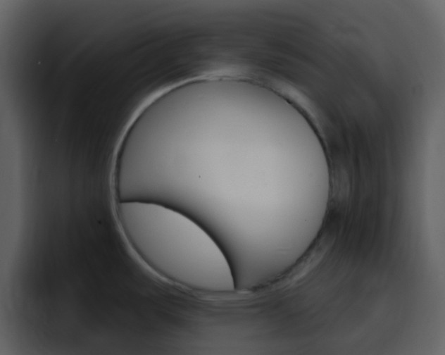 X0000096991487200802080909