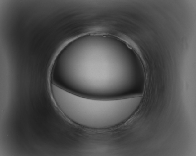 X0000096991488200802080909