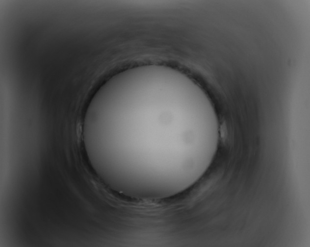 X0000096991492200802080909