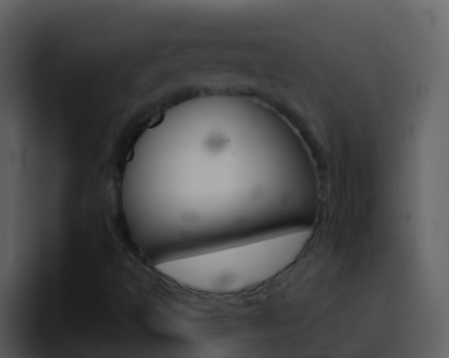 X0000096991493200802080909
