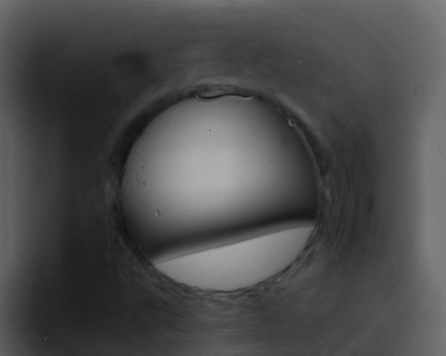 X0000096991495200802080909