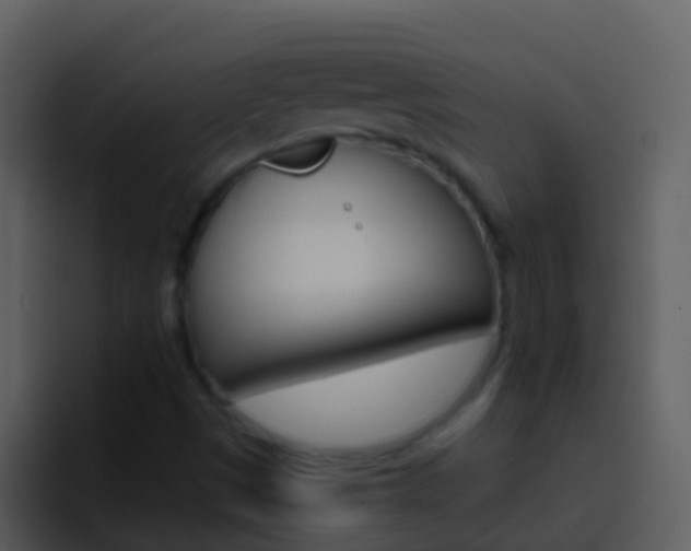 X0000096991497200802080909