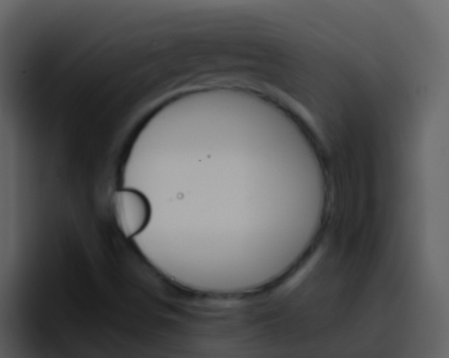 X0000096991498200802080909