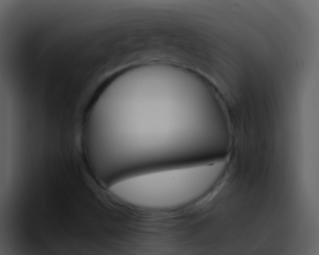 X0000096991499200802080909