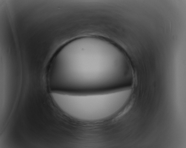 X0000096991501200802080909