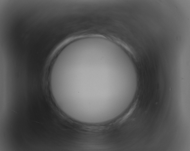 X0000096991502200802080909