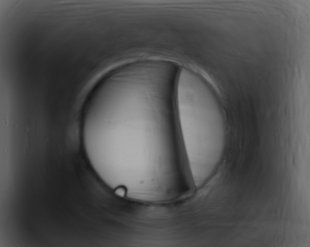 X0000096991503200802080909