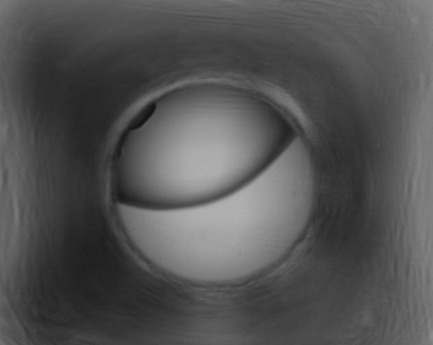 X0000096991504200802080909