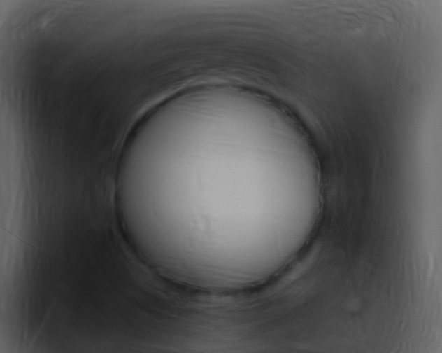 X0000096991505200802080909