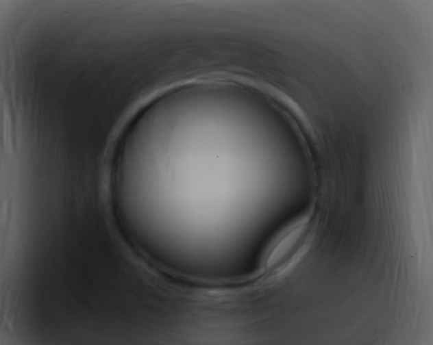 X0000096991506200802080909