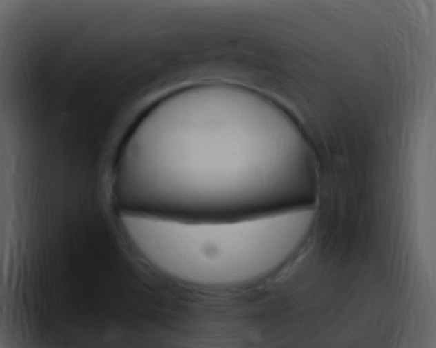 X0000096991507200802080909