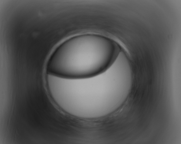 X0000096991508200802080909