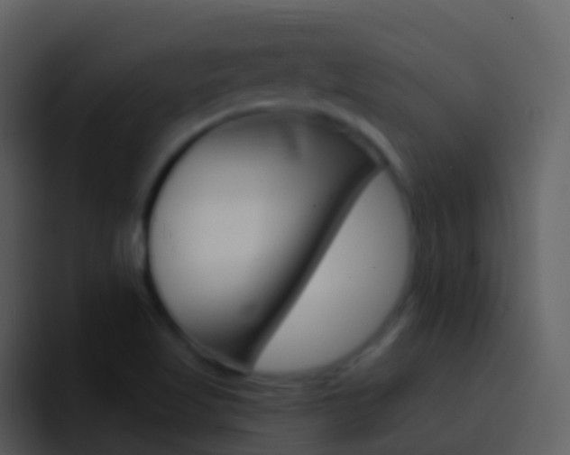 X0000096991509200802080909
