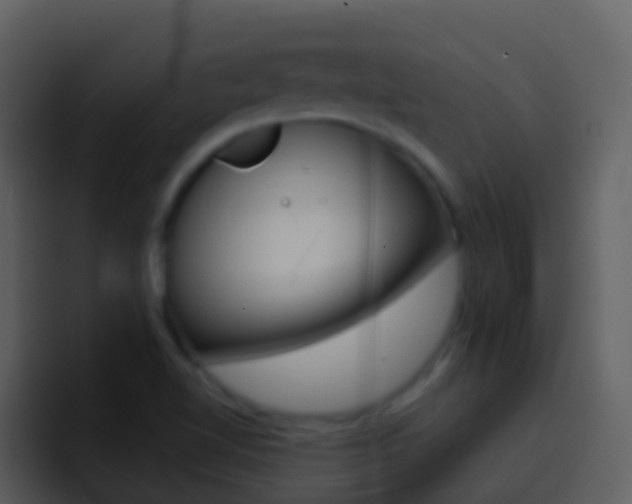 X0000096991510200802080909