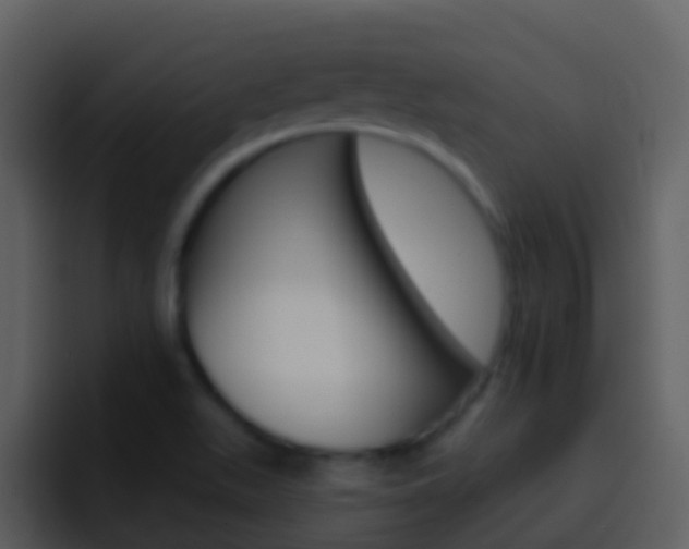 X0000096991511200802080909