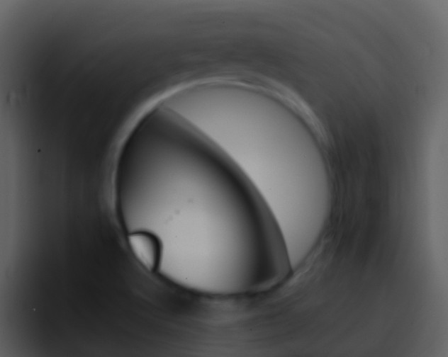 X0000096991512200802080909