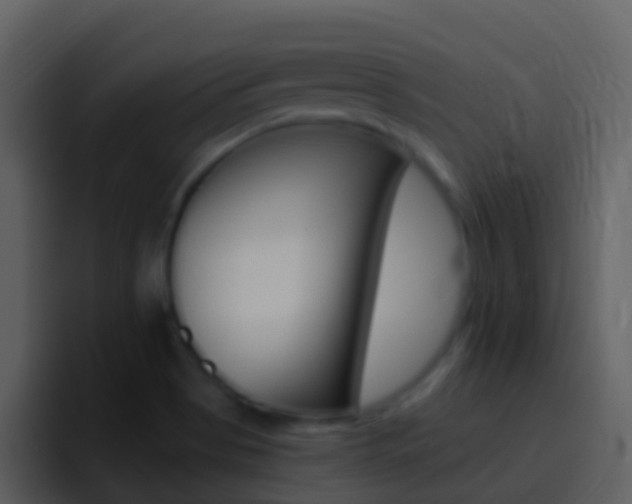 X0000096991513200802080909