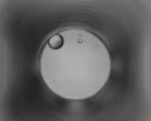 X0000096991514200802080909