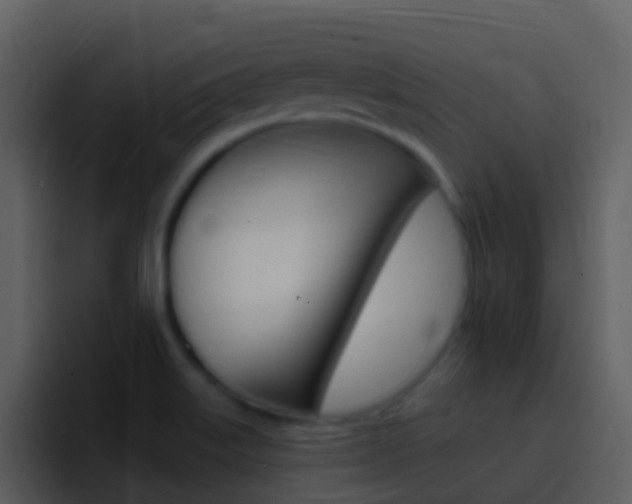 X0000096991515200802080909